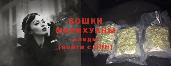 дживик Богородск