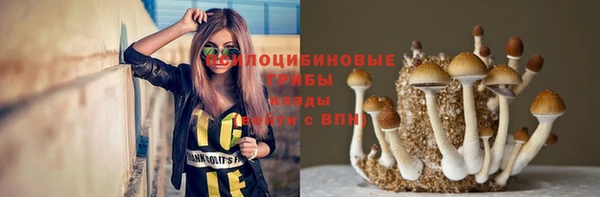 mdpv Богданович