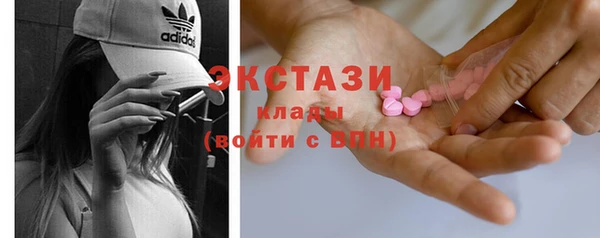 дживик Богородск