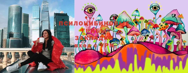 дживик Богородск