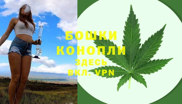 mdpv Богданович