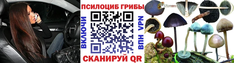 мега как зайти  Липецк  Галлюциногенные грибы ЛСД 
